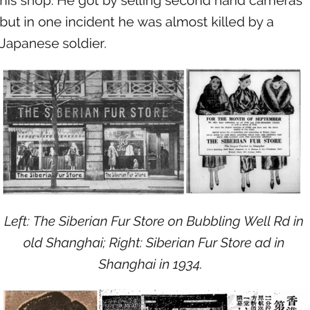 Vintage 1950’s Siberian Fur Store Mink Stole/Shaw - Picture 6 of 8